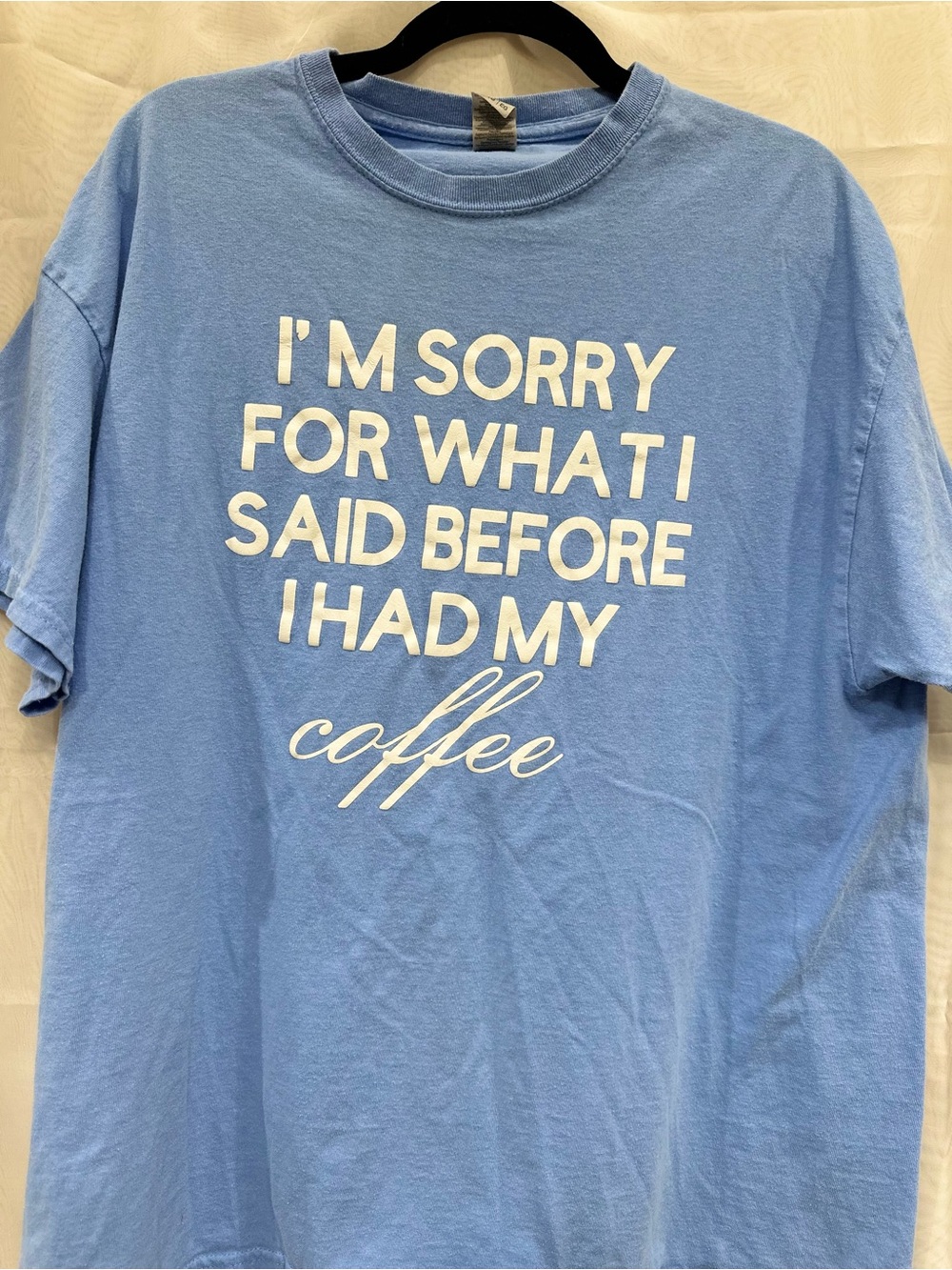 Gildan Light Blue Graphic Tee with White Text